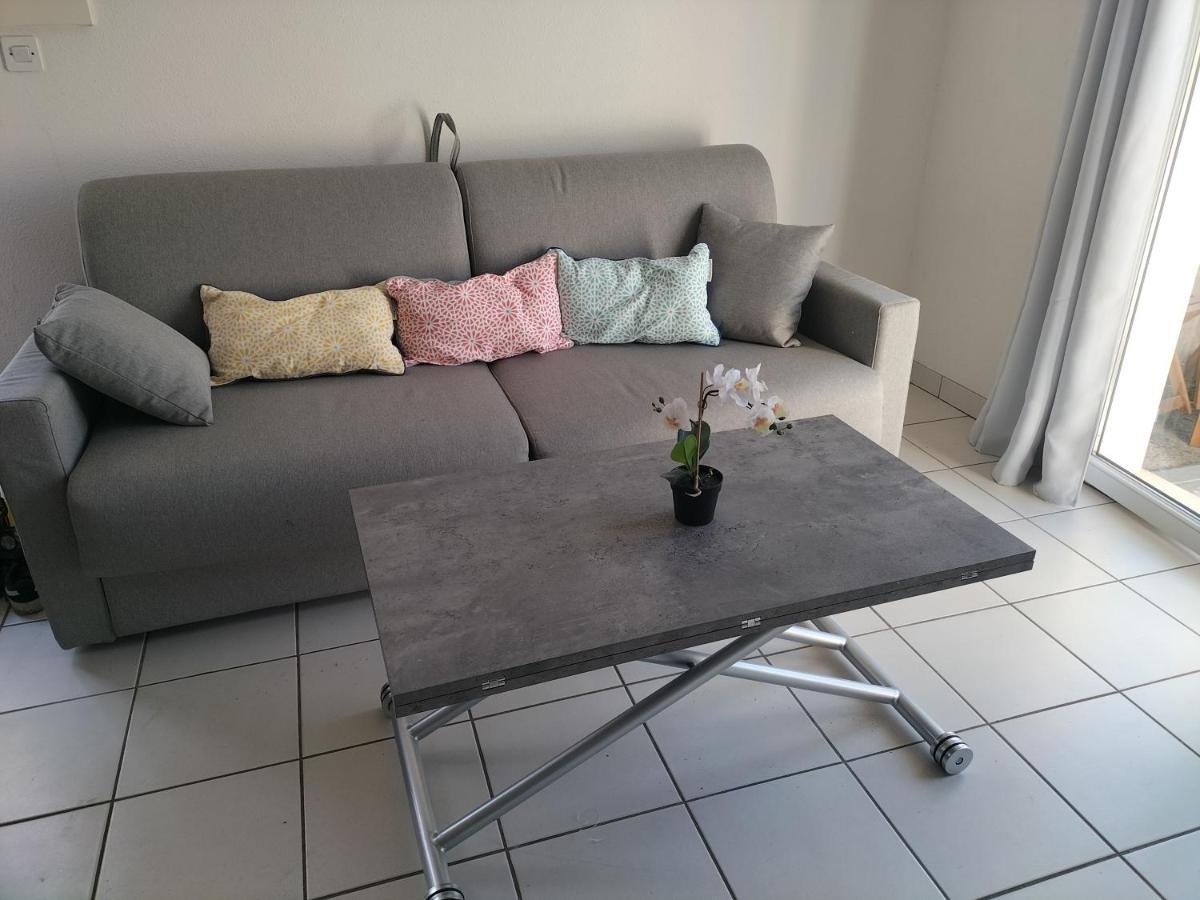 T2 Avec Piscine-Le Family 67 Lejlighed Pierrefiche  Eksteriør billede