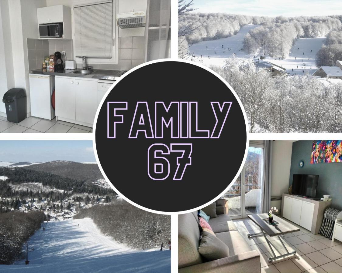 T2 Avec Piscine-Le Family 67 Lejlighed Pierrefiche  Eksteriør billede